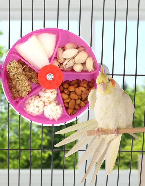 Load image into Gallery viewer, Bird Creative Foraging System Wheel Seed Food Ball Rotate Training Toy for Small and Medium Parrots Parakeet Cockatiel Conure
