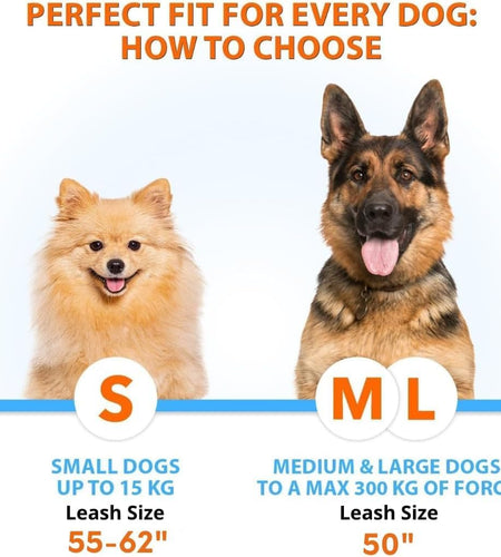 Hands-Free Dog Leash for Medium and Large Dogs – Professional Harness with Reflective Stitches for Training, Walking, Jogging and Running Your Pet