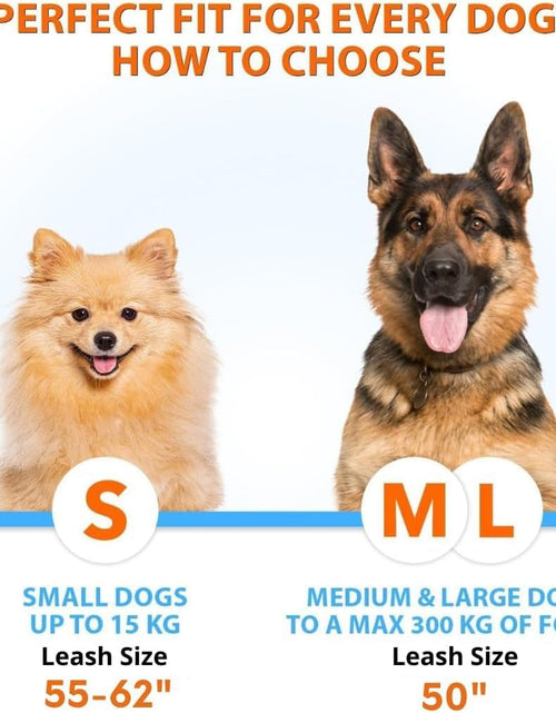 Load image into Gallery viewer, Hands-Free Dog Leash for Medium and Large Dogs – Professional Harness with Reflective Stitches for Training, Walking, Jogging and Running Your Pet
