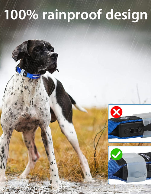 Load image into Gallery viewer, LED Dog Collar-Usb Rechargeable Glow Light up Dog Collars- Safety Waterproof Illuminated Flashing Light Collar for Dogs
