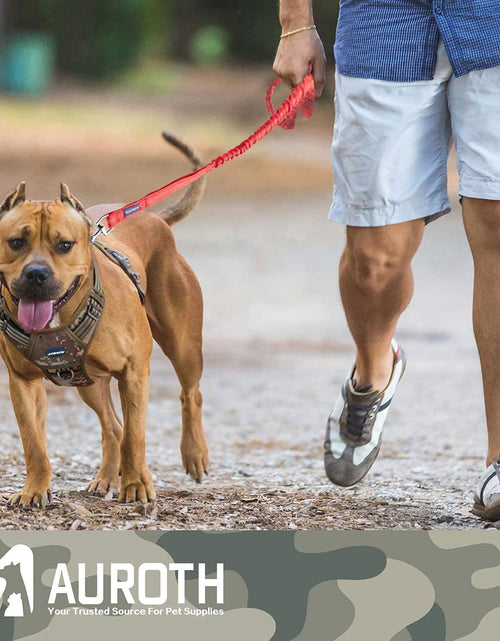 Load image into Gallery viewer, Heavy Duty Bungee Dog Leash for Medium Large Breed Dogs, No Pull for Shock Absorption with Car Seat Belt, 2 Padded Handles 4.5FT 6FT Training Dog Leash
