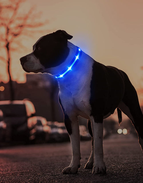 Load image into Gallery viewer, LED Dog Collar-Usb Rechargeable Glow Light up Dog Collars- Safety Waterproof Illuminated Flashing Light Collar for Dogs
