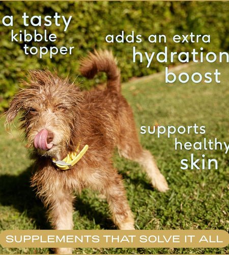 Bone Broth for Dogs and Cats – Dog Bone Broth Powder for Dog Food Topper for Picky Eaters – Cat and Dog Broth - Dog Gravy Topper for Dry Food – Chicken Broth for Dogs and Cast – 11.5 Oz