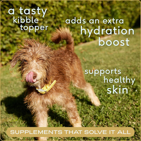 Bone Broth for Dogs and Cats – Dog Bone Broth Powder for Dog Food Topper for Picky Eaters – Cat and Dog Broth - Dog Gravy Topper for Dry Food – Chicken Broth for Dogs and Cast – 11.5 Oz