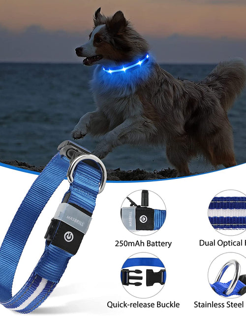 Load image into Gallery viewer, LED Dog Collar-Usb Rechargeable Glow Light up Dog Collars- Safety Waterproof Illuminated Flashing Light Collar for Dogs
