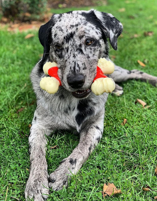 Load image into Gallery viewer, Power Chew Double Bone Long Lasting Chew Toy for Dogs X-Large - 50+ Lbs.
