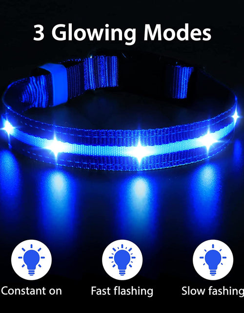 Load image into Gallery viewer, LED Dog Collar-Usb Rechargeable Glow Light up Dog Collars- Safety Waterproof Illuminated Flashing Light Collar for Dogs
