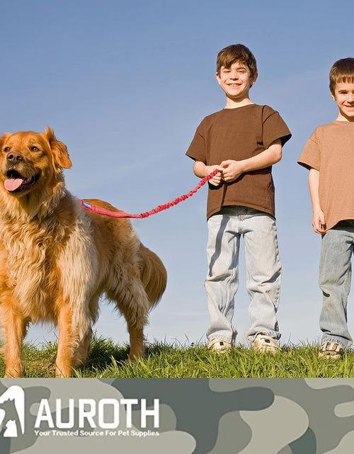 Load image into Gallery viewer, Heavy Duty Bungee Dog Leash for Medium Large Breed Dogs, No Pull for Shock Absorption with Car Seat Belt, 2 Padded Handles 4.5FT 6FT Training Dog Leash
