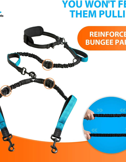 Load image into Gallery viewer, Hands-Free Dog Leash for Medium and Large Dogs – Professional Harness with Reflective Stitches for Training, Walking, Jogging and Running Your Pet
