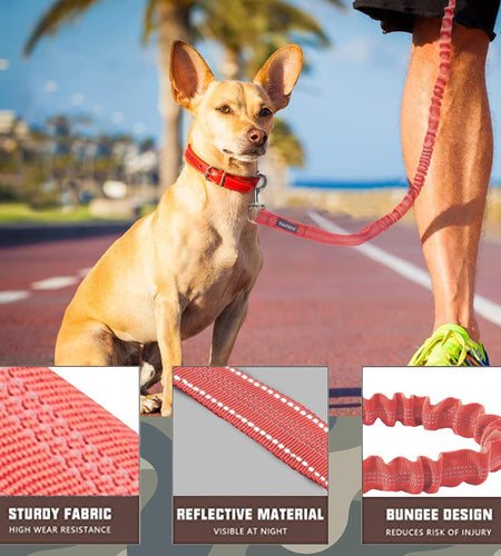 Heavy Duty Bungee Dog Leash for Medium Large Breed Dogs, No Pull for Shock Absorption with Car Seat Belt, 2 Padded Handles 4.5FT 6FT Training Dog Leash