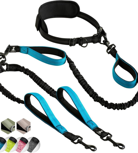 Hands-Free Dog Leash for Medium and Large Dogs – Professional Harness with Reflective Stitches for Training, Walking, Jogging and Running Your Pet