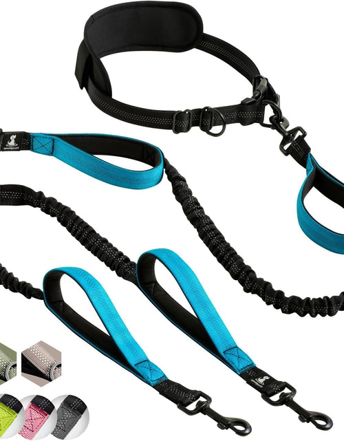 Load image into Gallery viewer, Hands-Free Dog Leash for Medium and Large Dogs – Professional Harness with Reflective Stitches for Training, Walking, Jogging and Running Your Pet
